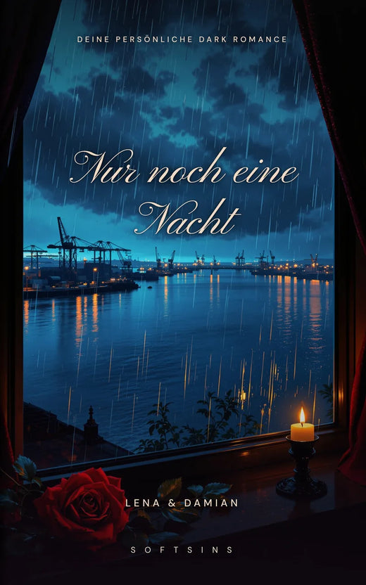 Cover: Nur noch eine Nacht